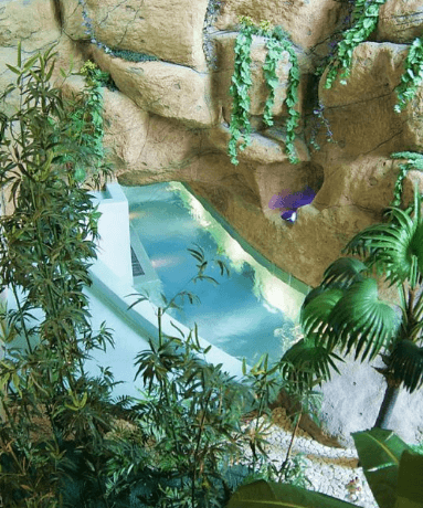 Солнцево и аквапарк «Ква-ква парк»
