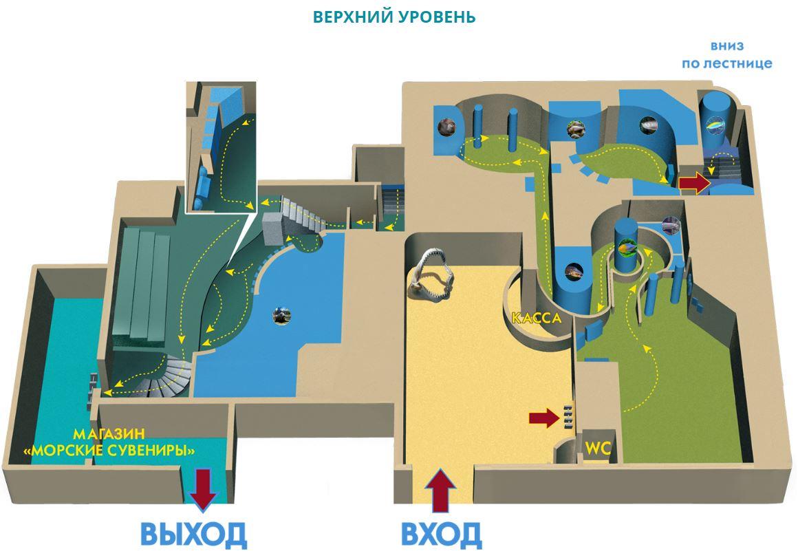 Океанариум питер пушкинская карта